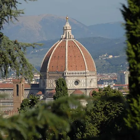 A Dream In Διαμέρισμα